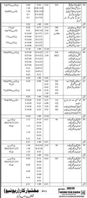 Newspaper clipping: Mukhtiarkar Revenue Saeedabad Candidate List, Jang, 16 Apr 2026