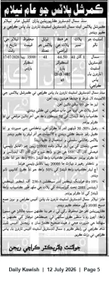 Newspaper clipping: Auction Notice — Commercial Plots A1–A41, Small Industrial Estate, Nadirin Pass, Karachi, Daily Kawish, 12 Jul 2026